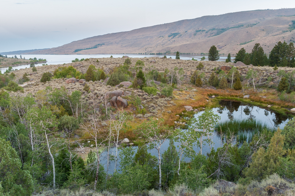 DSC_9314-5-HDR.jpg