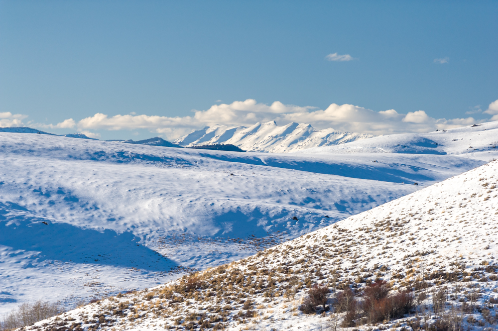 _DSC8752-4.jpg