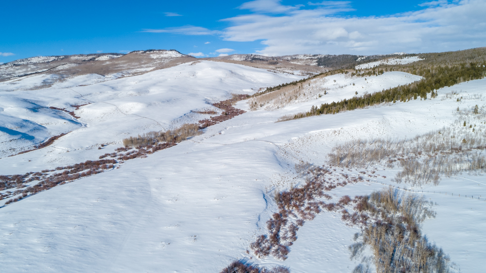 DJI_0010-5.jpg