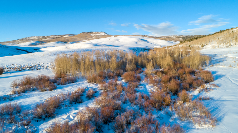 DJI_0016-5-2.jpg