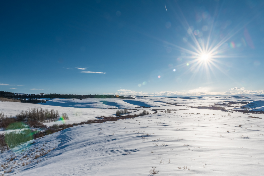 DSC_1042-5-HDR.jpg