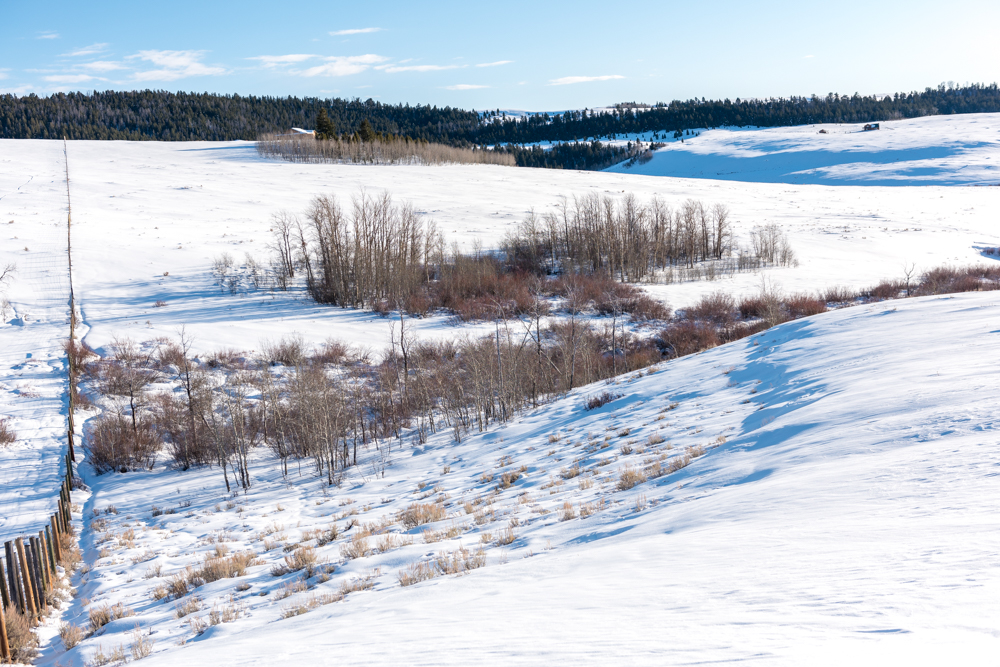 DSC_1048-6.jpg
