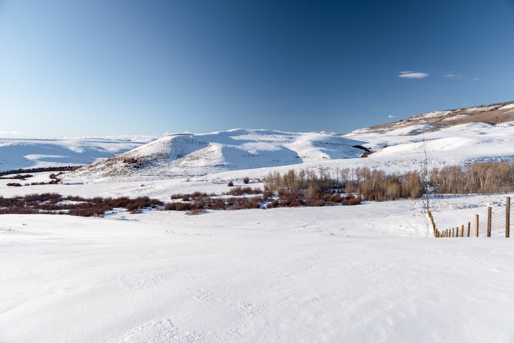 DSC_1069-6.jpg