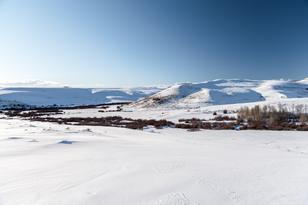 DSC_1070-6.jpg