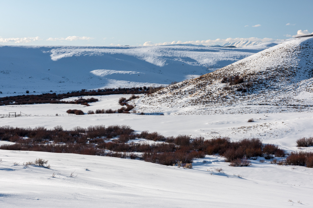 DSC_1078-6.jpg