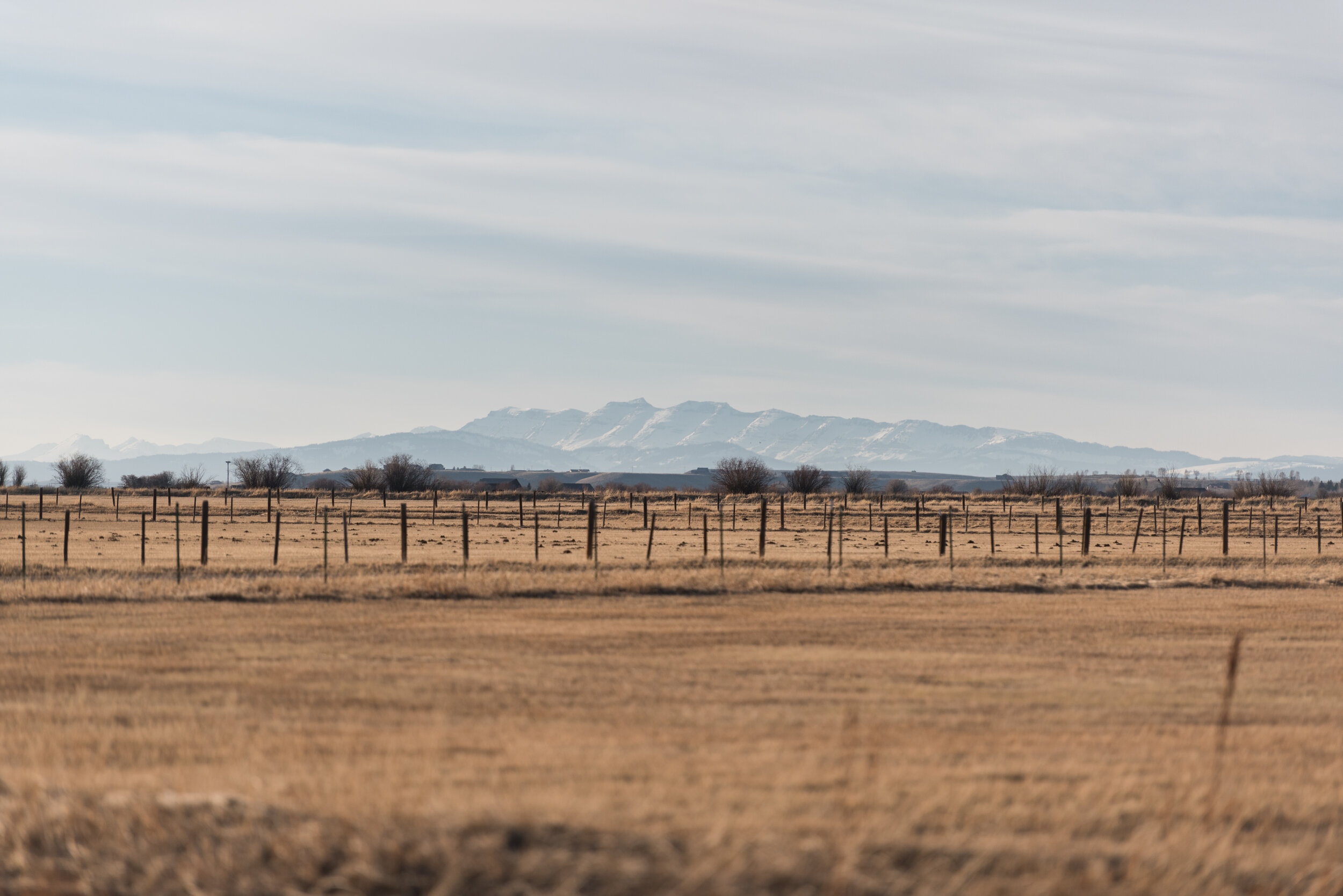 DSC_7282.jpg