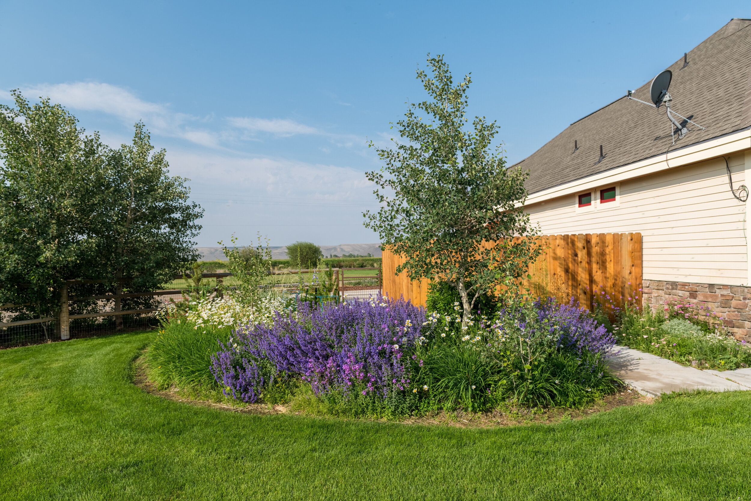 DSC_9605-2-HDR.jpg