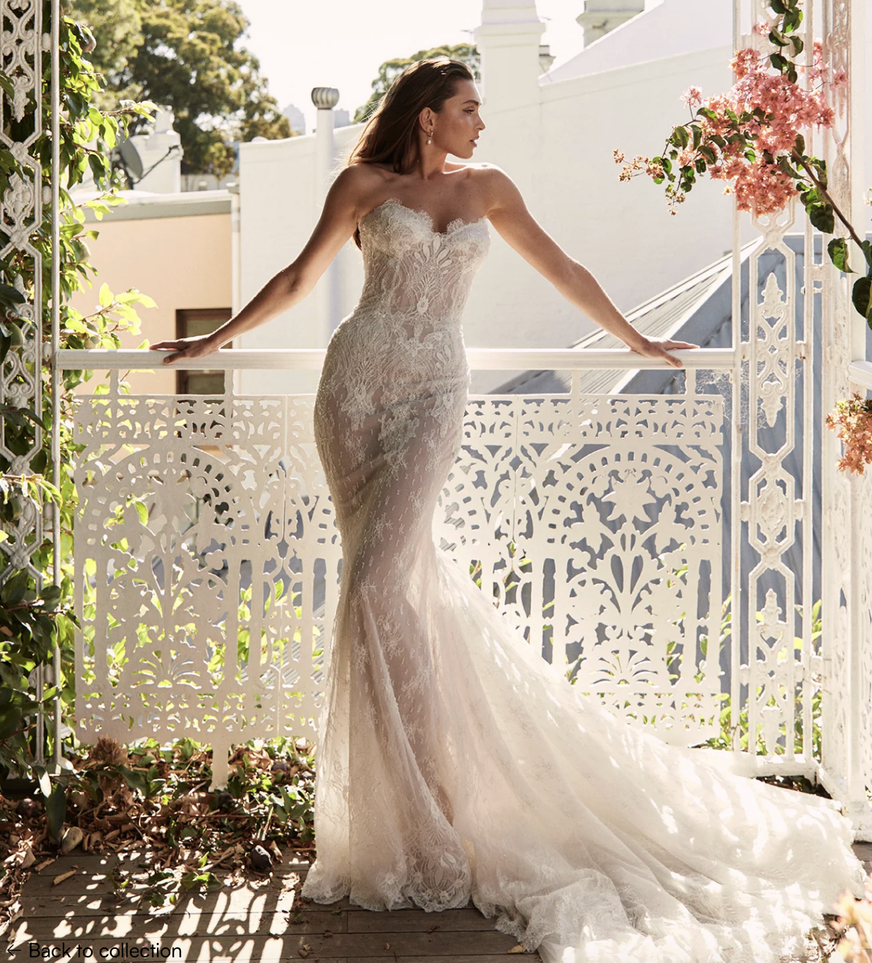 Screenshot 2026-02-11 at 4.37.36 PM.png