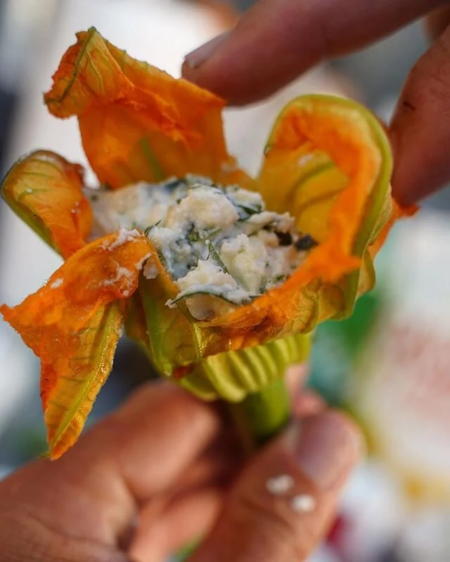 New Recipe! Stuffed Squash Blossoms lightly battered and fried. Using cassava flour allows for light and crispy coating (while keeping it #glutenfree) You don&rsquo;t want a thick, strong tasting batter that will detract from the delicate taste of th