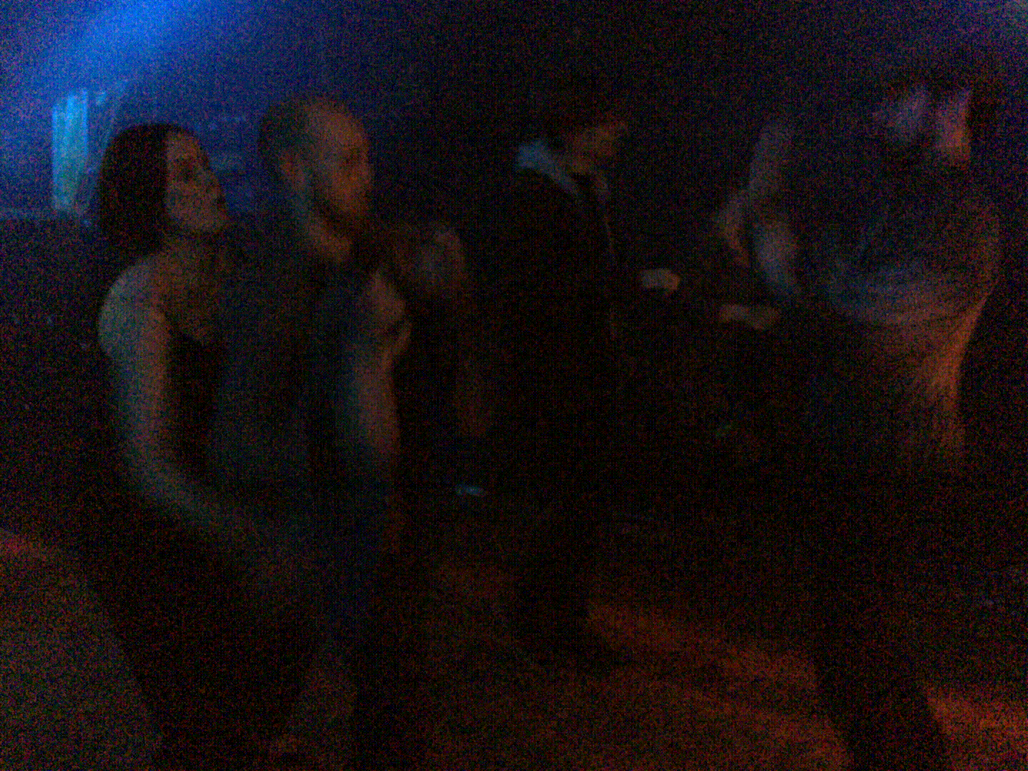 The Brady Brothers get down in Corp (2015)