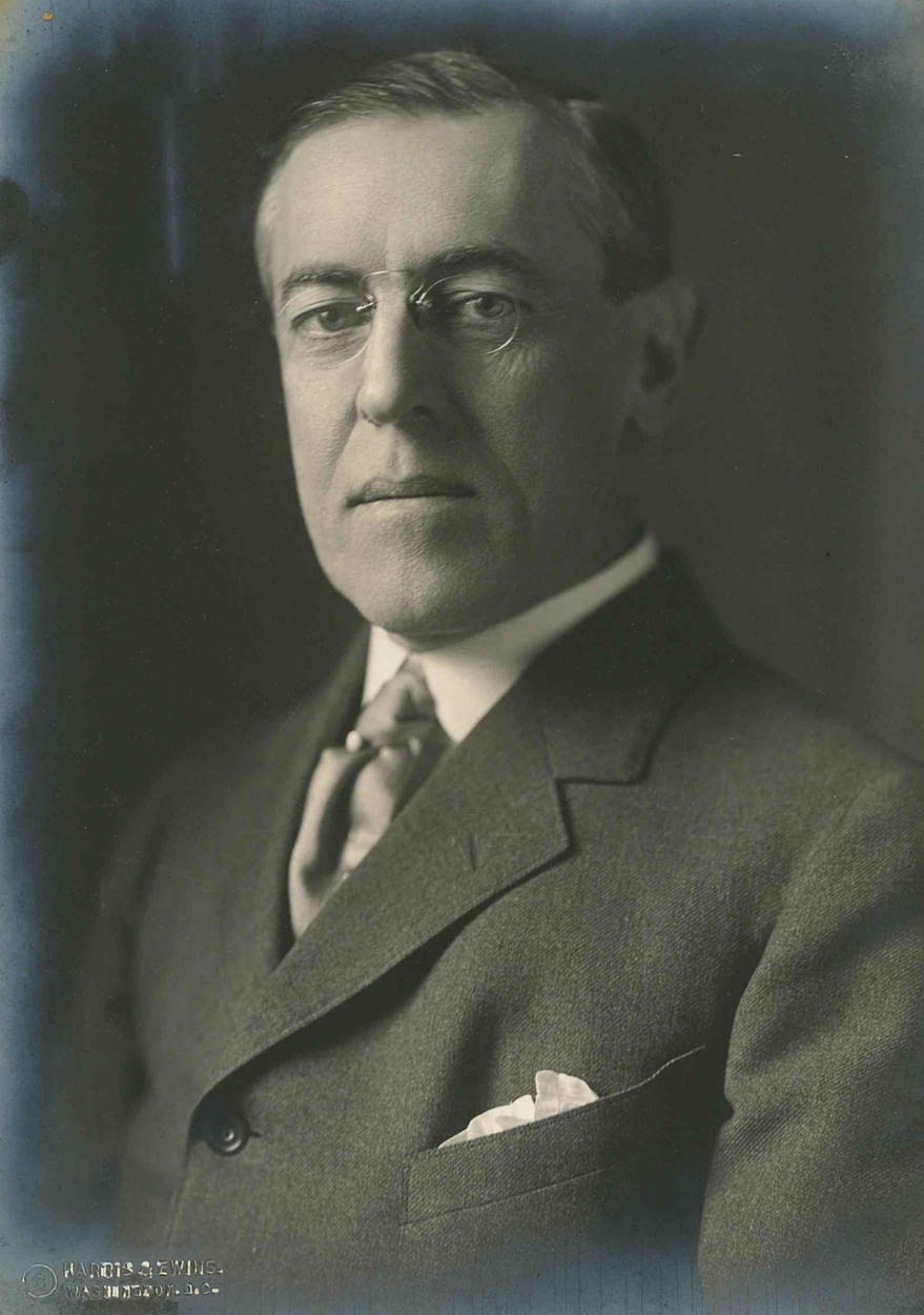 Woodrow Wilson, Scholar