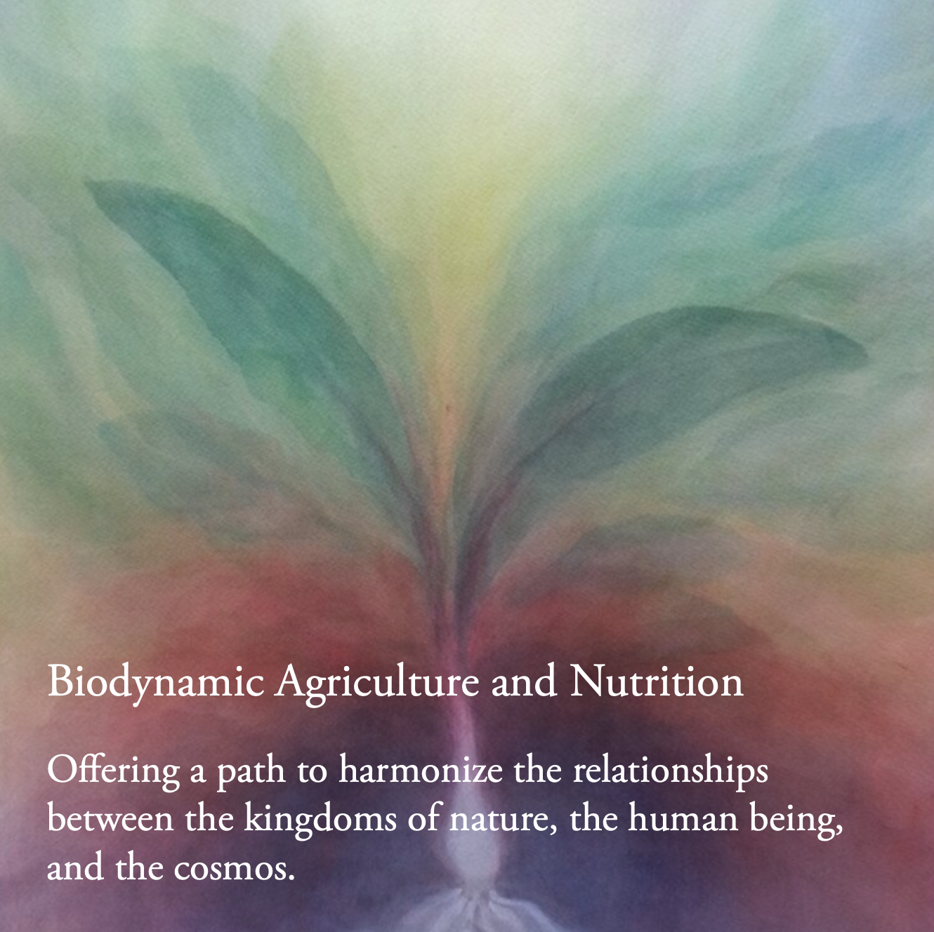 Biodynamics and Nutrition course description.png