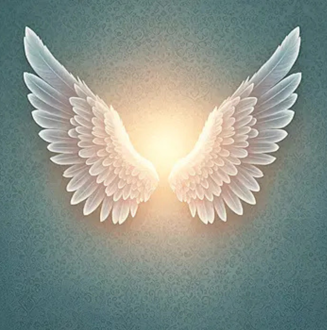 Angel wings St John's.png