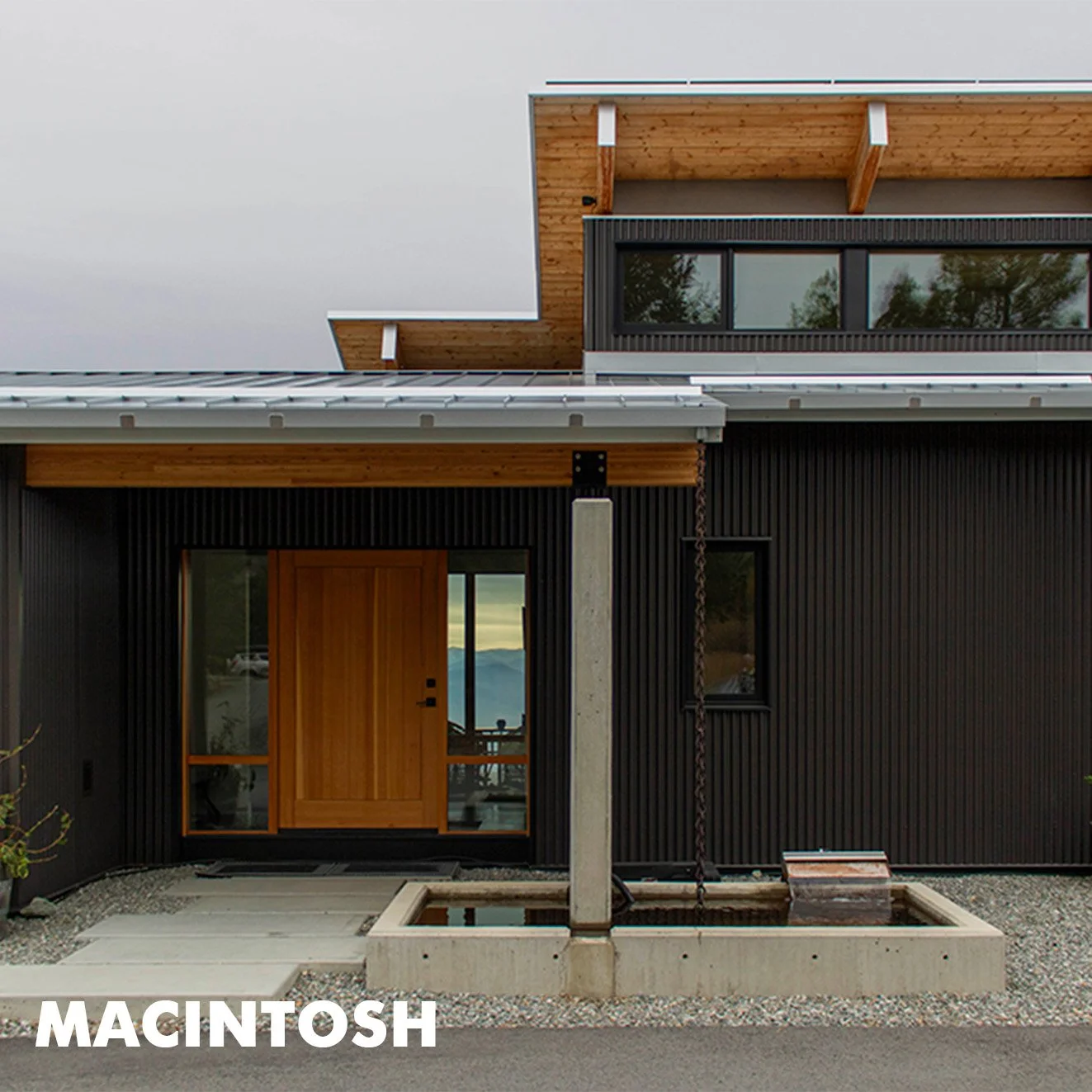 MacIntosh