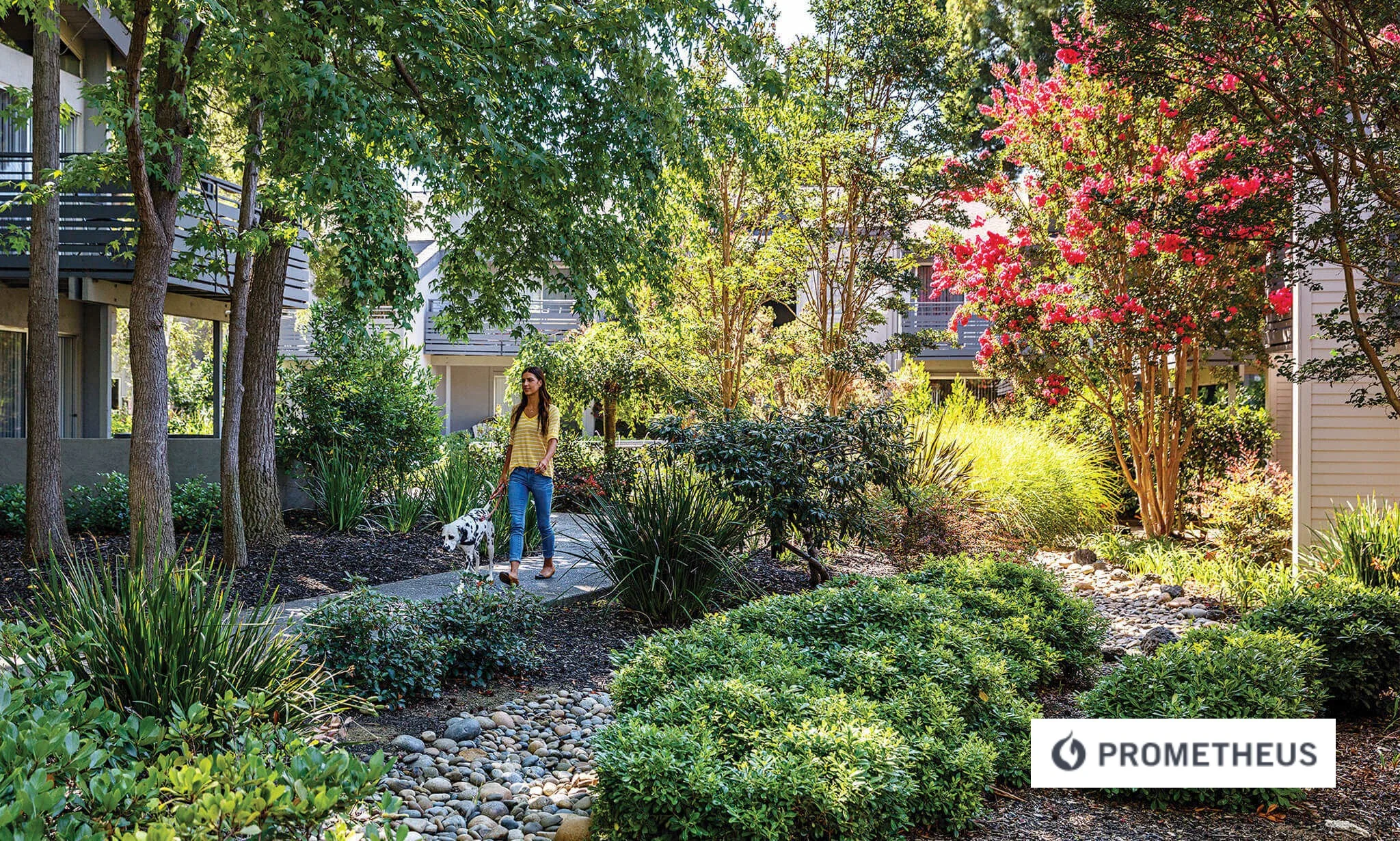 Prometheus Shadowbrook Apartments Sunnyvale.jpg