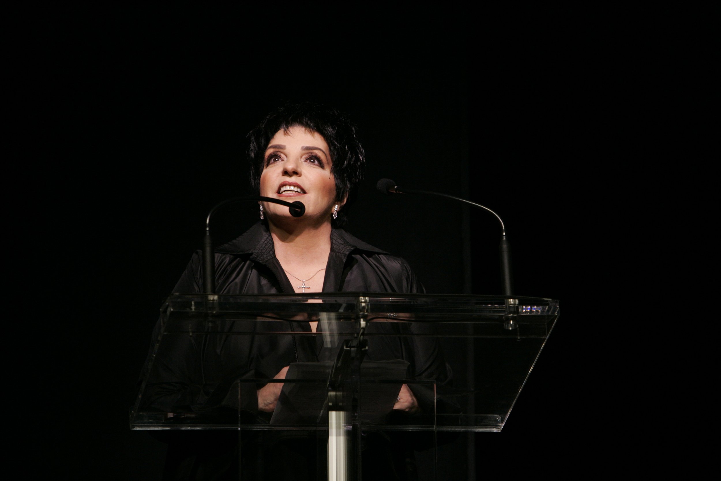  Host Liza Minnelli 