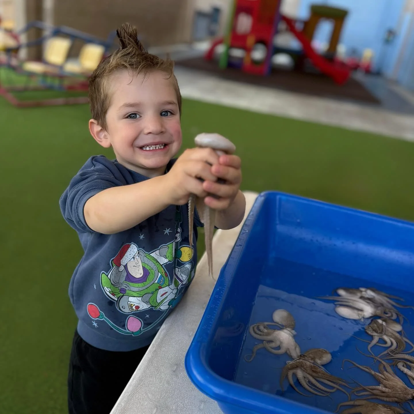 Fun Fact: Octopuses are very smart and curious - just like our brave learners who tried something new! 🐙

Preschoolers learned all about octopuses and showed amazing courage by gently holding a real one! Trying new things helps build confidence, cur