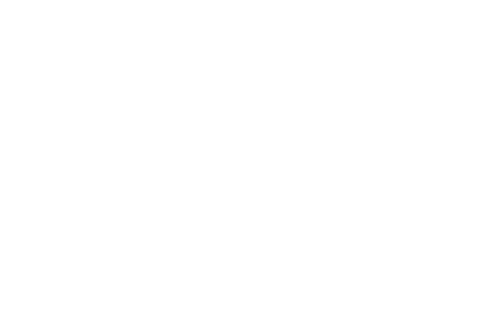 OFFICIAL-SELECTION-The-Lost-Sanity-Horror-Sci-Fi-Film-Festival-2017.png