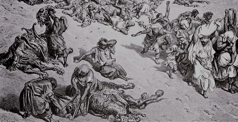 Panting for God in the Age of Desalination