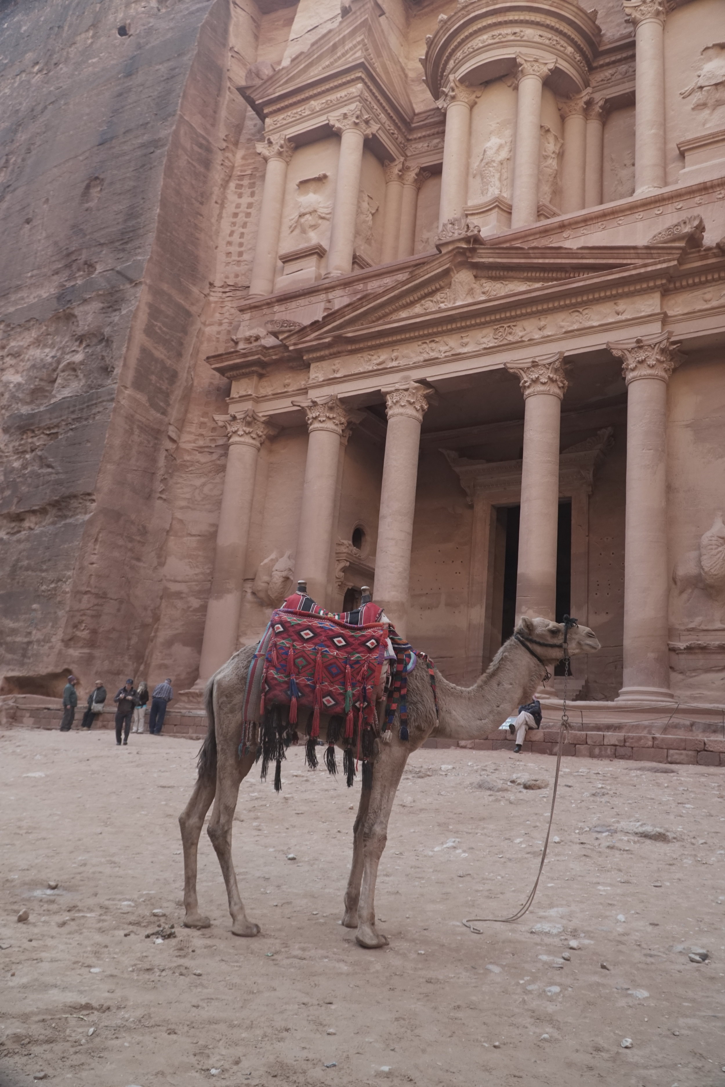 PETRA, THE ROSE OF EDOM