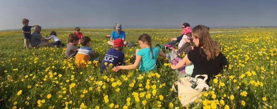 Examine the Flowers of the Field