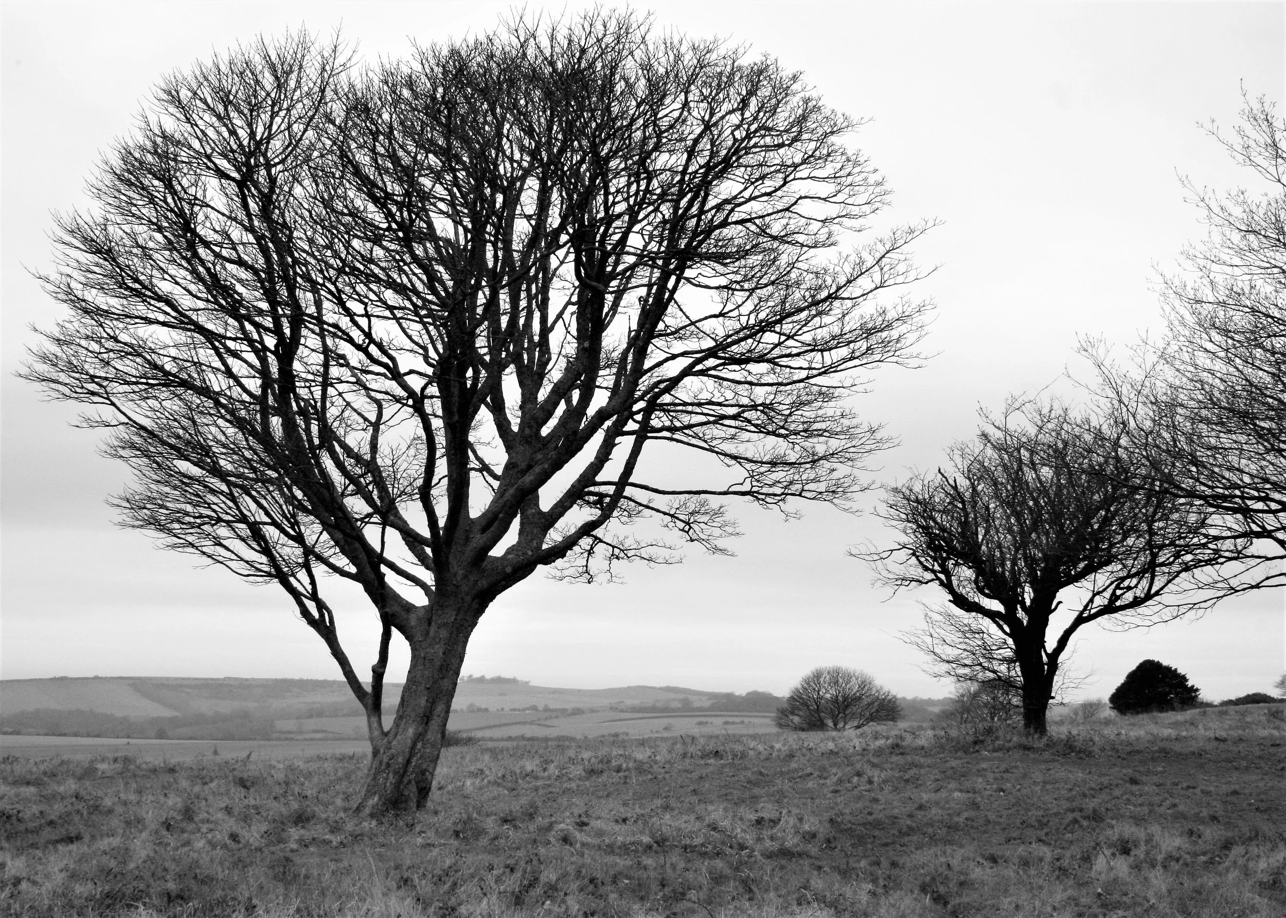 Why fill your space?