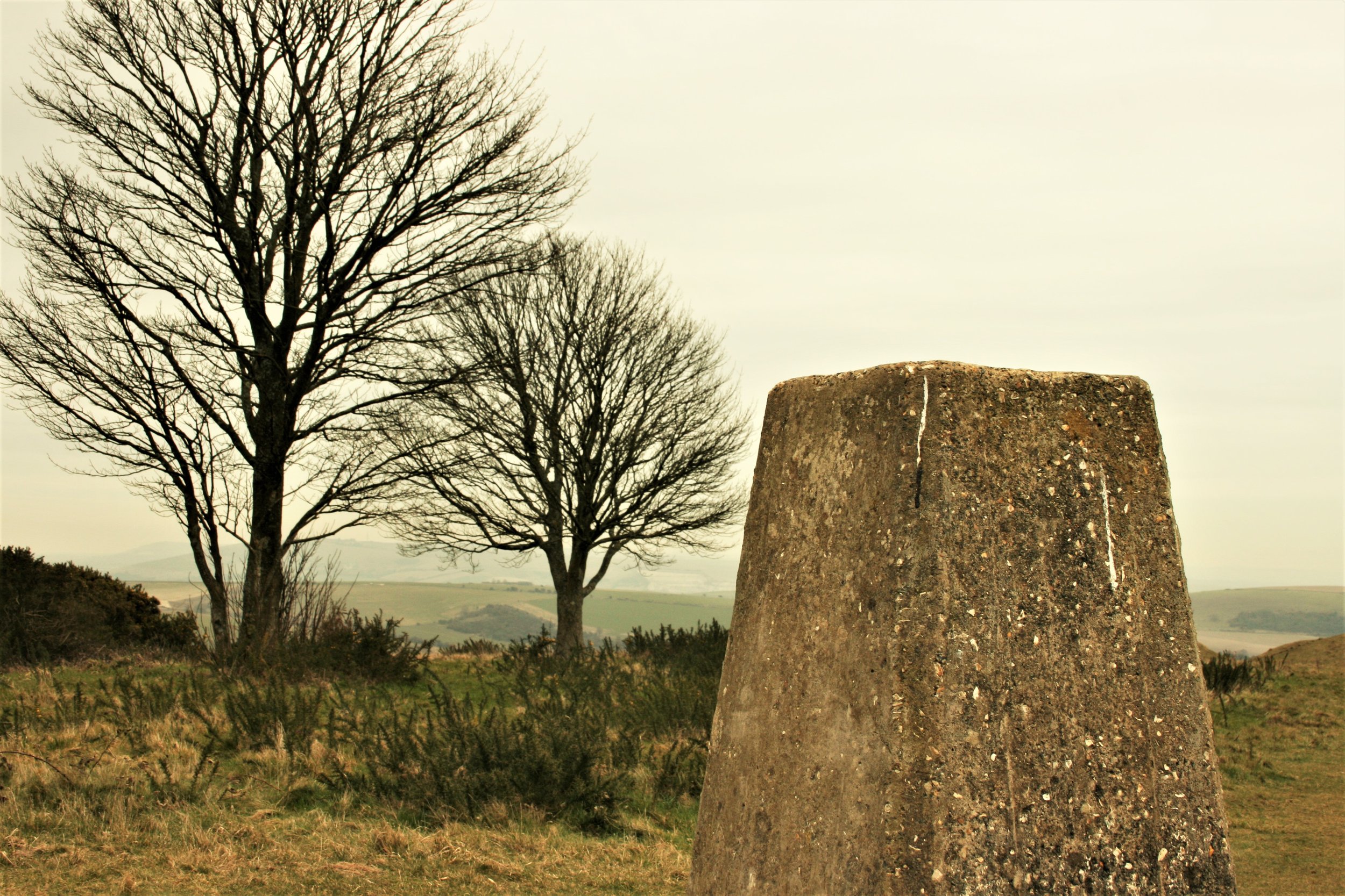 On which hill do we stand?