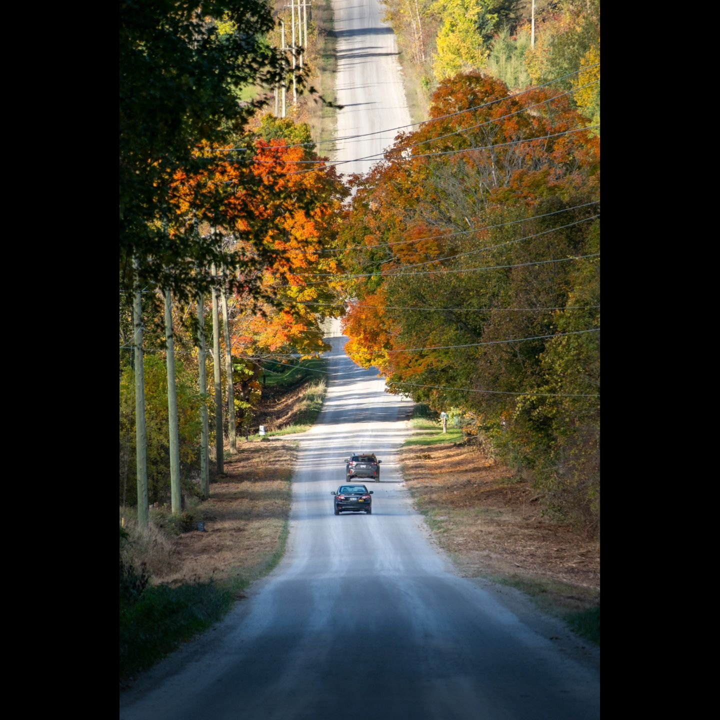 Grey Highlands early morning drive 🍂🍃

📍Grey Highlands, Ontario
📷 October 2024

#greyhighlands #greycounty #beavervalley #ontario #ontariocanada #autumn #fall #roadtrip #forest #fujifilm #fujifilm_xseries #tamron #sigma @ontariotravel @greyhighla