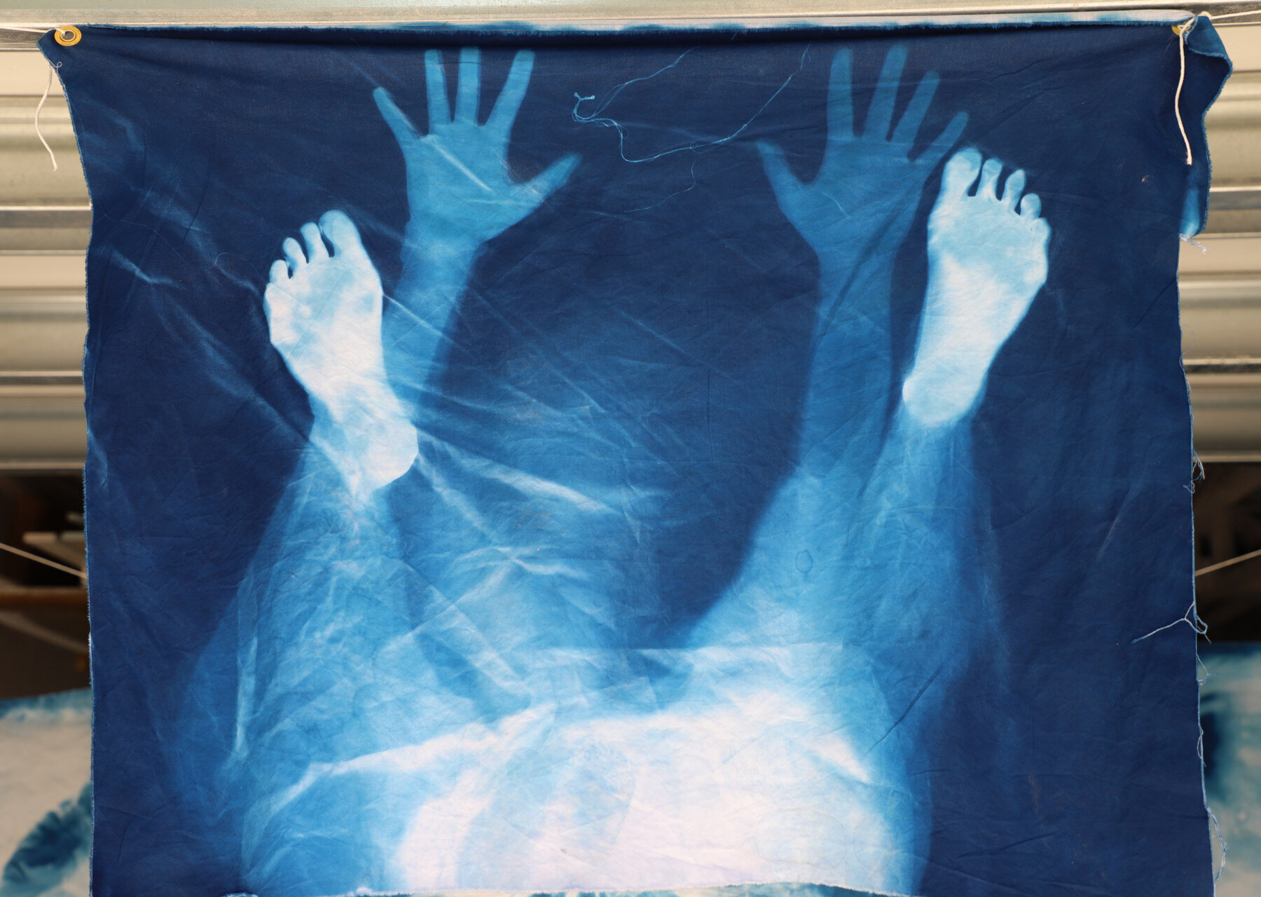 Cyanotype1,6x4.jpg