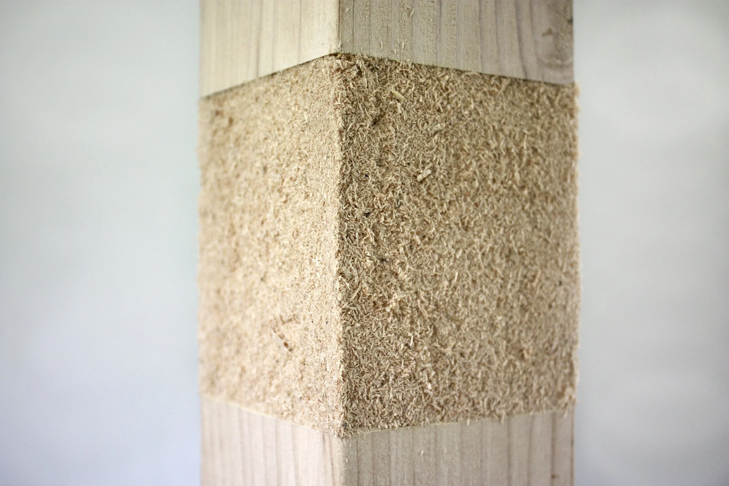 DREAMS_close up_BEST.JPG