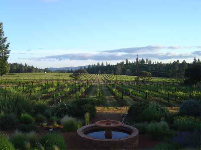 View.jpg