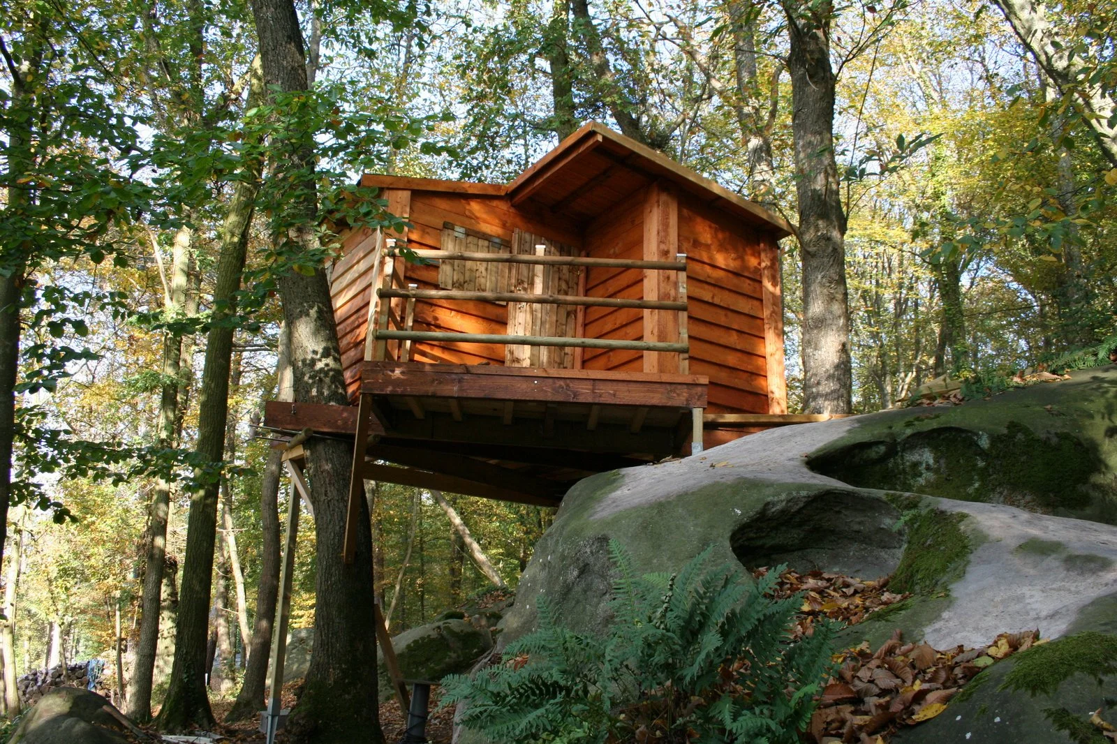 treehouse4.jpg