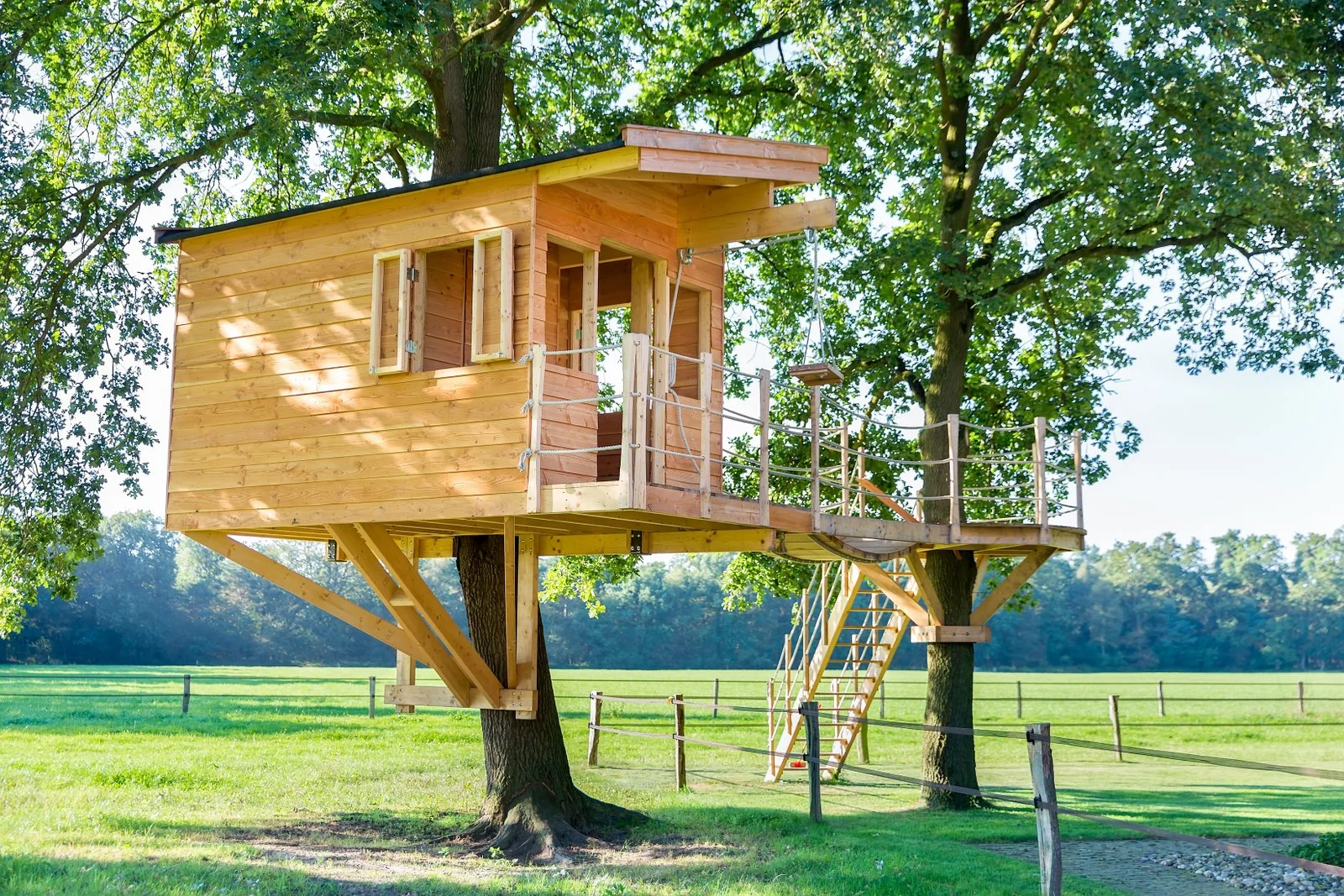 treehouse6.jpg