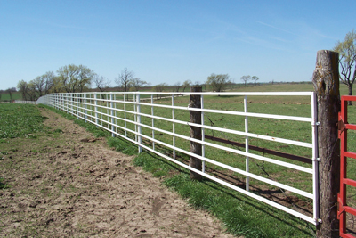 Continuous Fence