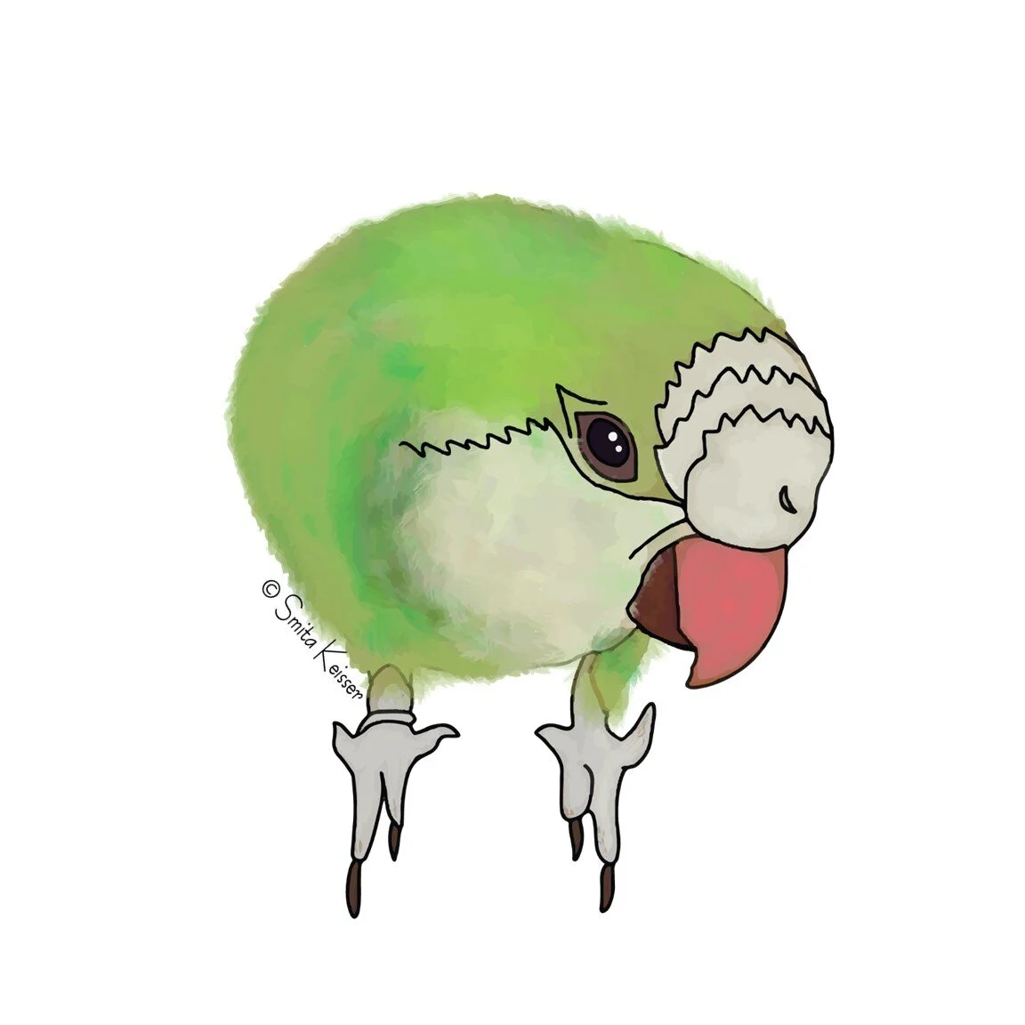 Digital Quaker Parrot by Smita Keisser