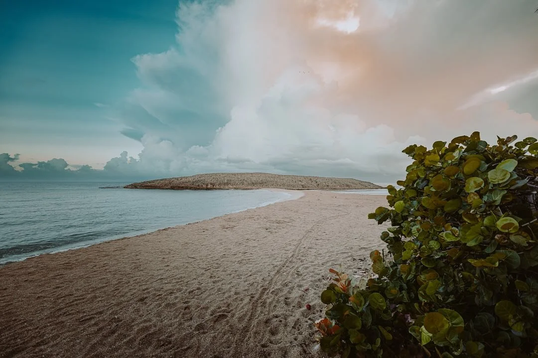 Playa Montones, Isabela Puerto Rico
.
.
.
.
.
.
.
.
.
.
.
.
.
.
.
.
.
.
.
.
.
.
.
.
.
.
.
#puertorico
#dawn
#sunrise
#eosr
#beach
#storm
#rain
#creative_globe
#beautifuldestinations 
#lensbible 
#createcommune 
#earthfocus 
#beachvibes
#exploretocrea