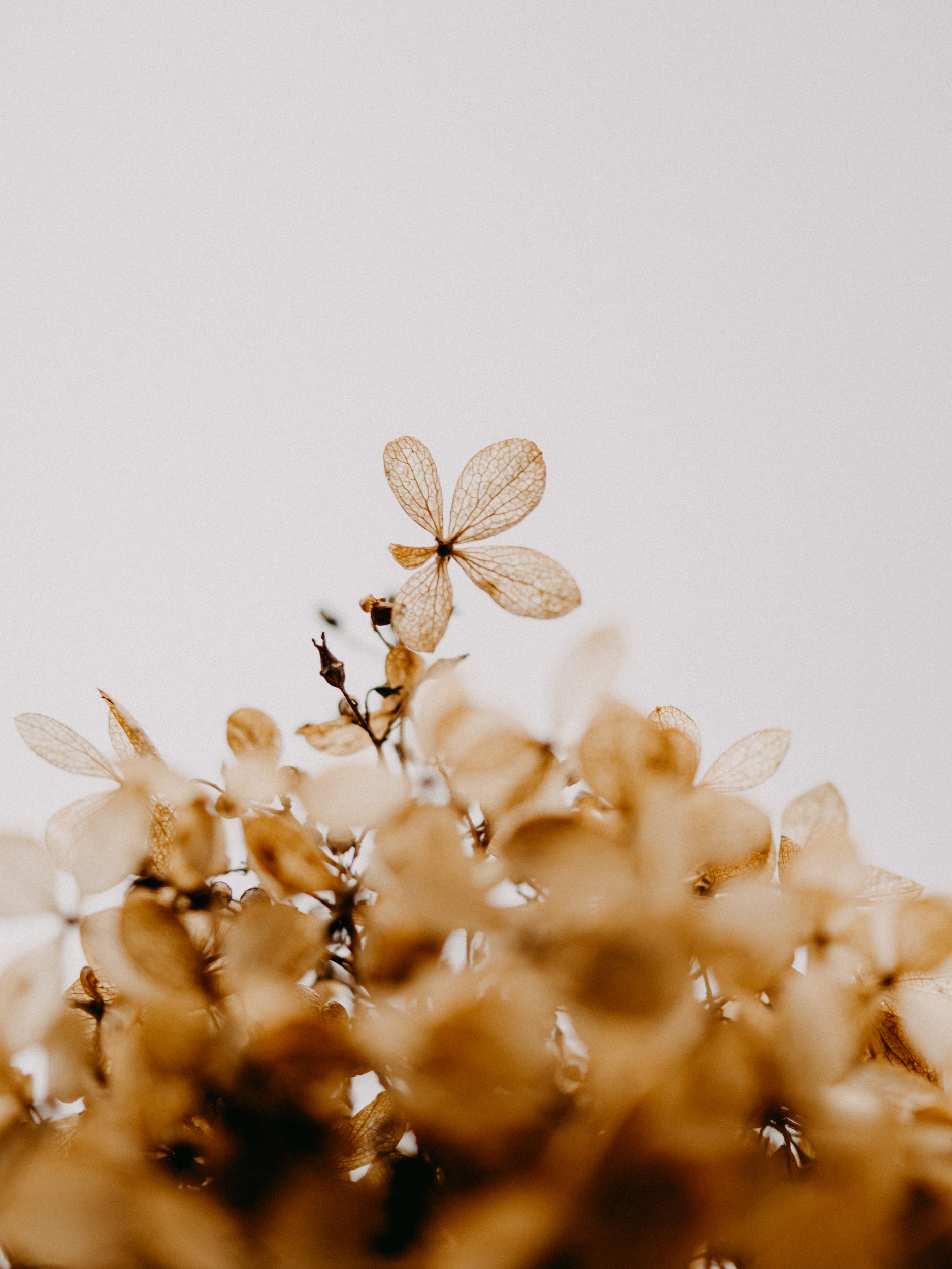 Weaponize Your Thankfulness