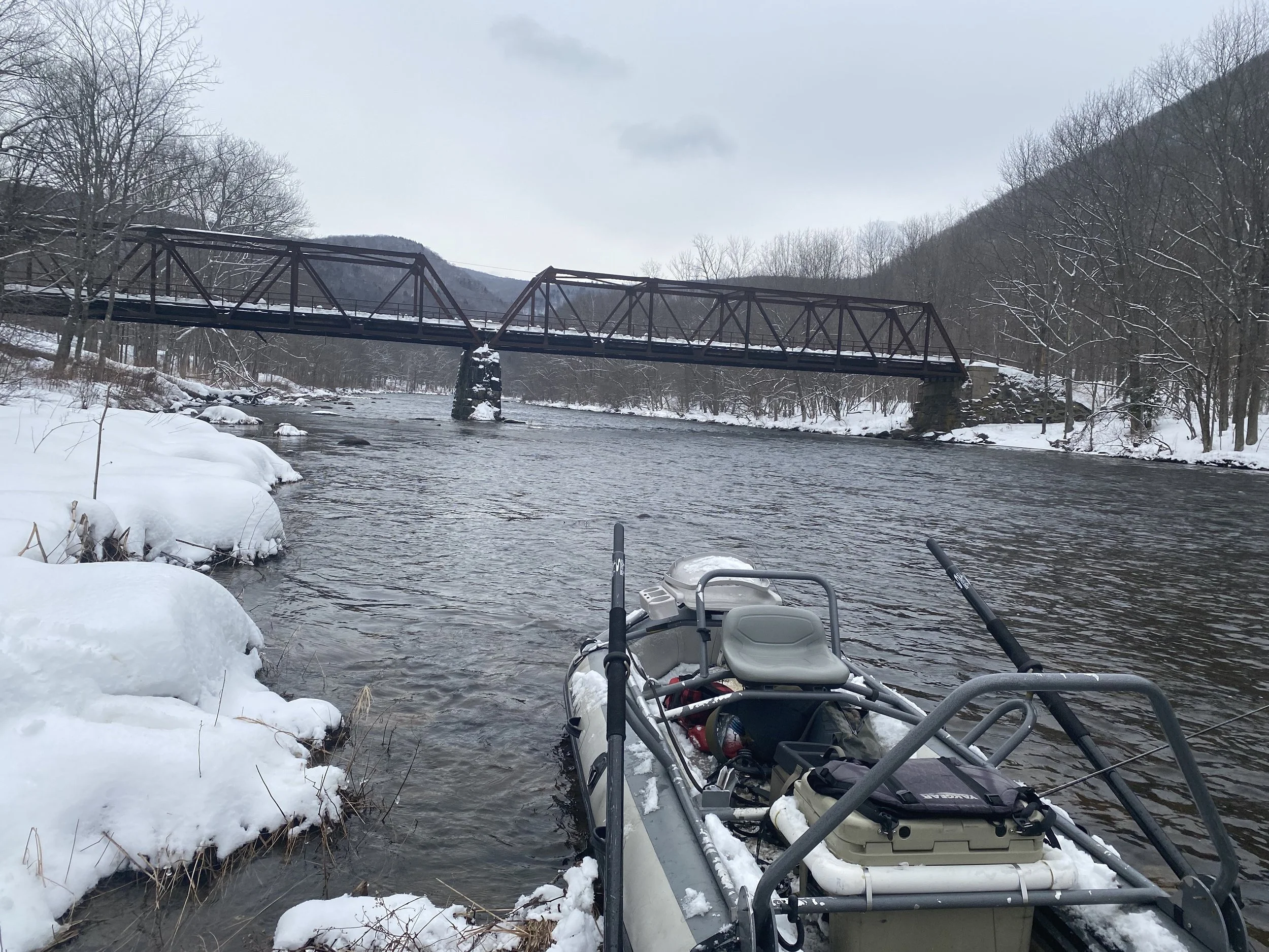 Deerfield River Fly Fishing: Ultimate Guide to Seasons, Tactics, &amp; Wild Trout 