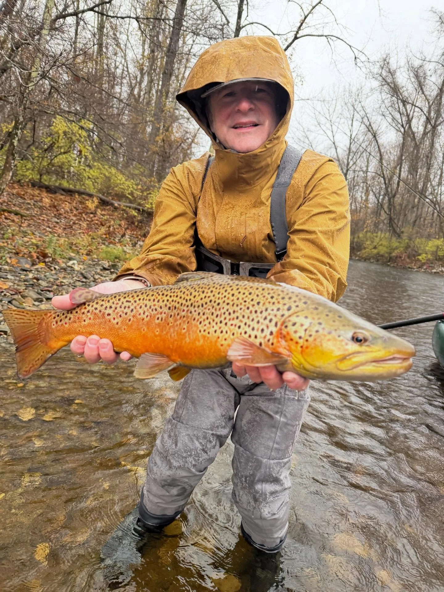 Nothing beats a good day of steady rain and chasing browns.  Tom and I had a whole 12mi stretch of river to ourselves and it did not disappoint! Gotta say the @diamondbackflyrods ideal nymph did an amazing job handling this fish. #vermontflyfishing #
