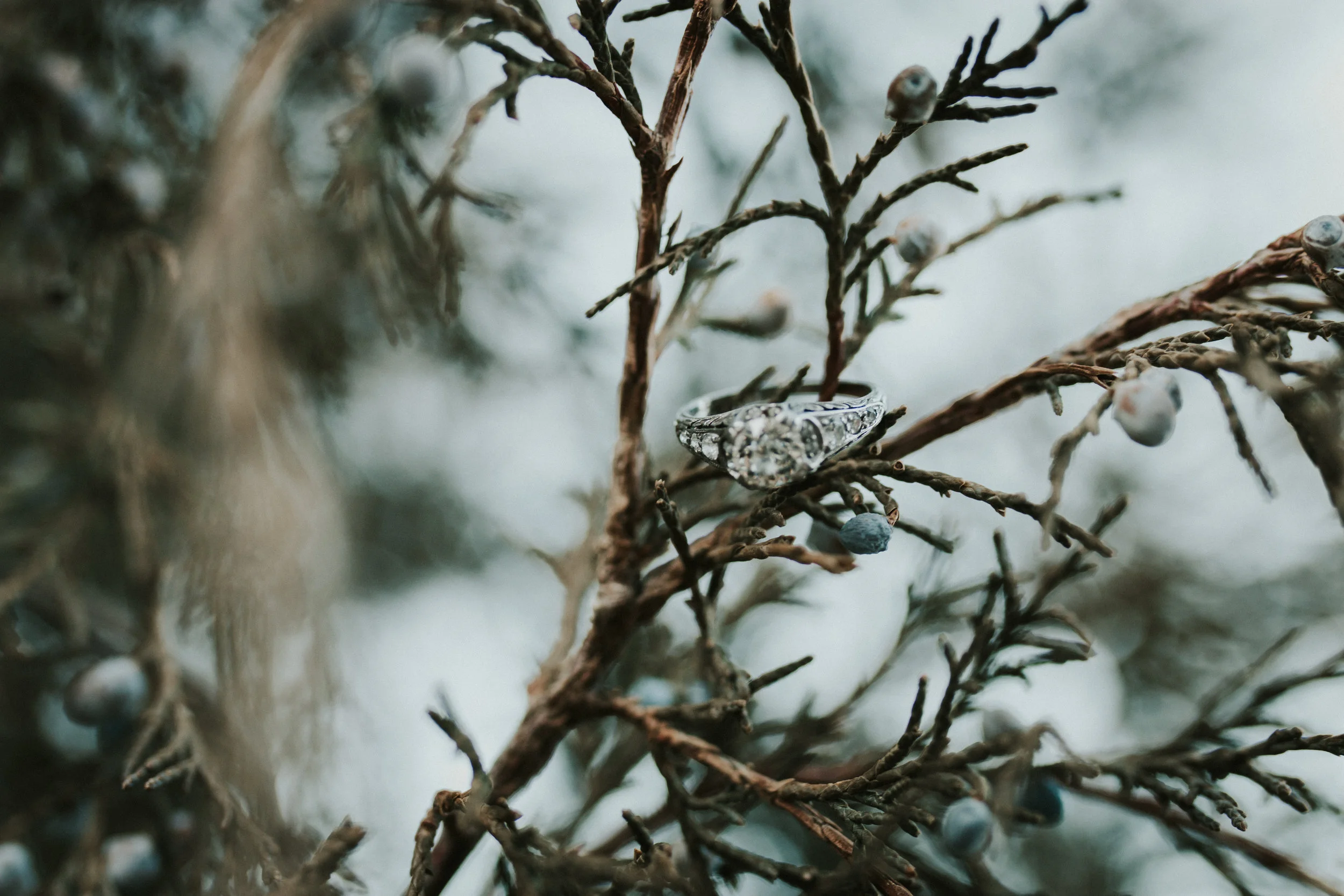 Edit67 (1 of 1).jpg