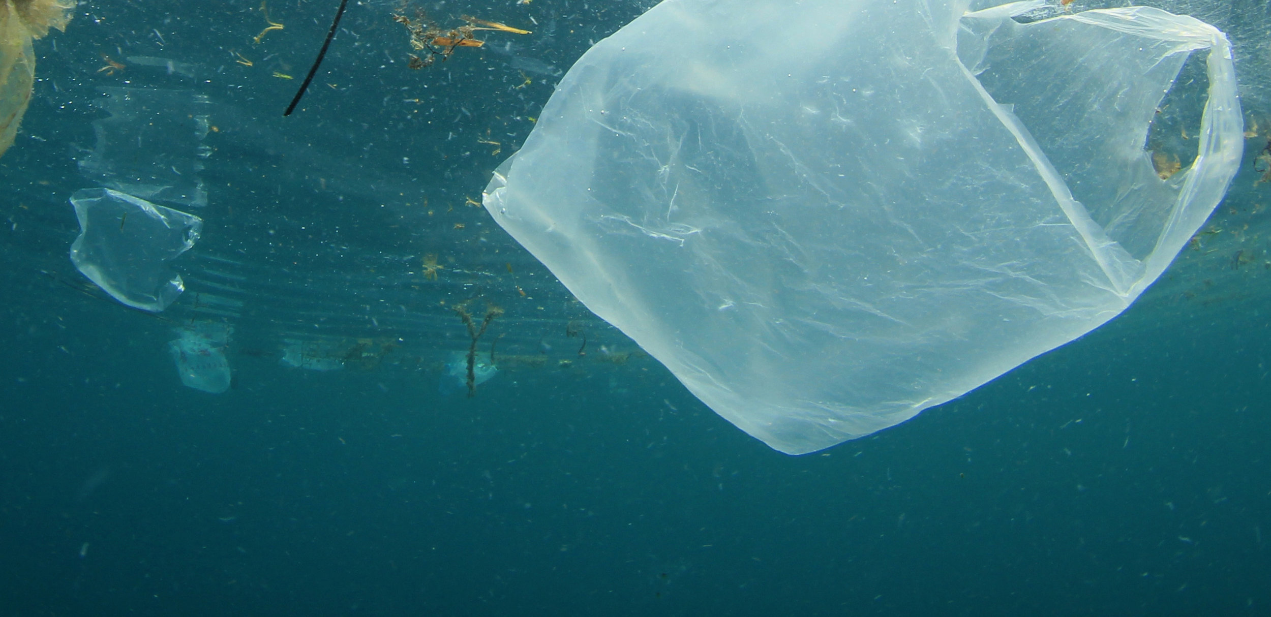 plastic-in-ocean-will-disappear.jpg