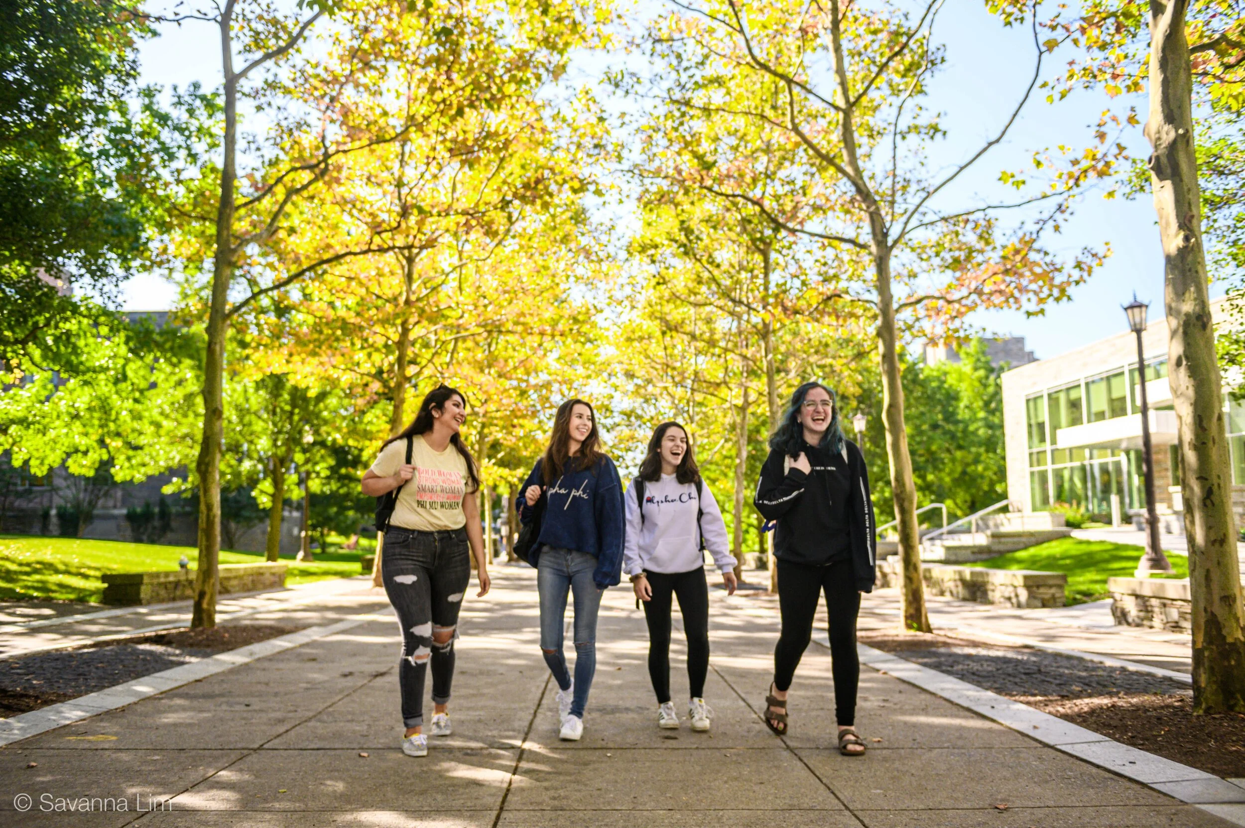 Cornell Sorority Rankings