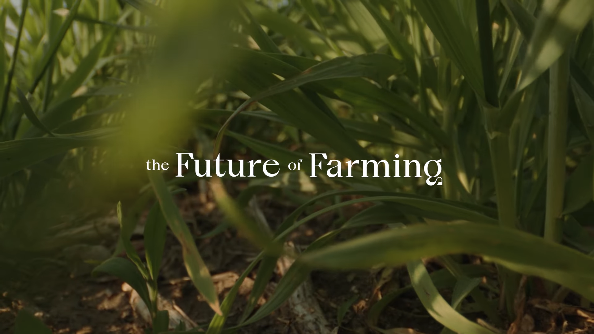 Future of Farming: Amazon