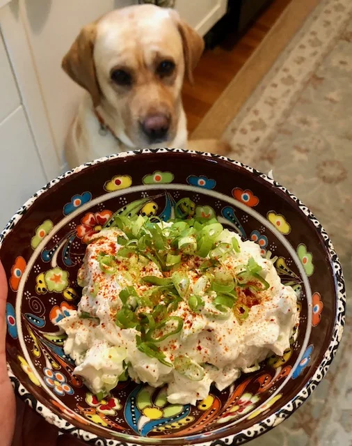 Goat Cheese Dip