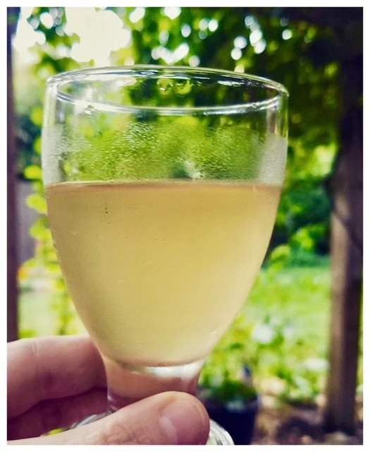                                               Michele’s Ginger Beer 