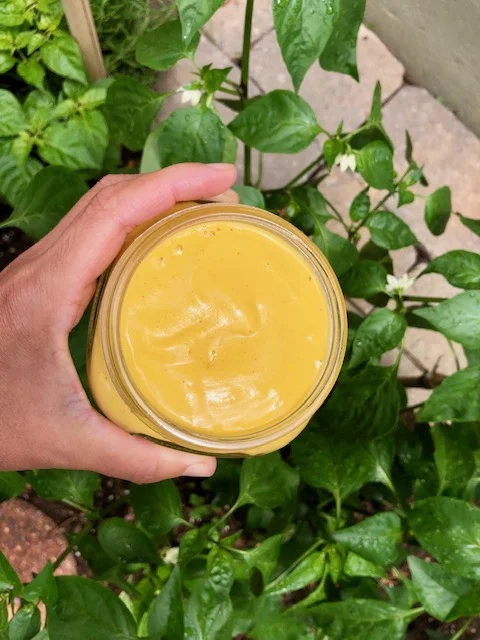 Creamy Vegan Smoky Dip 