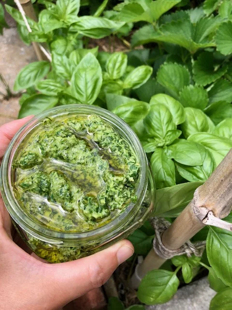 Basil Pesto&nbsp;