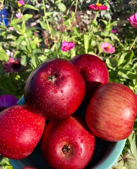 Nina's Cinnamon Apples