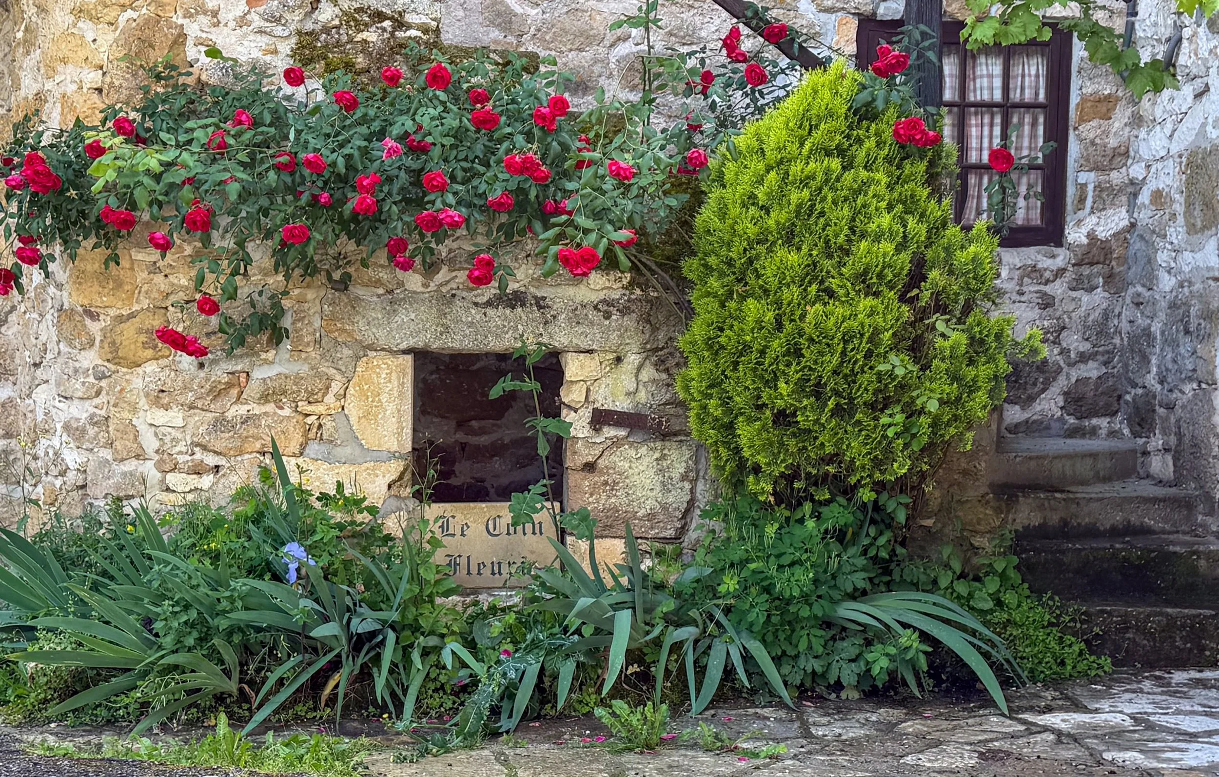 Steyning Camera Club