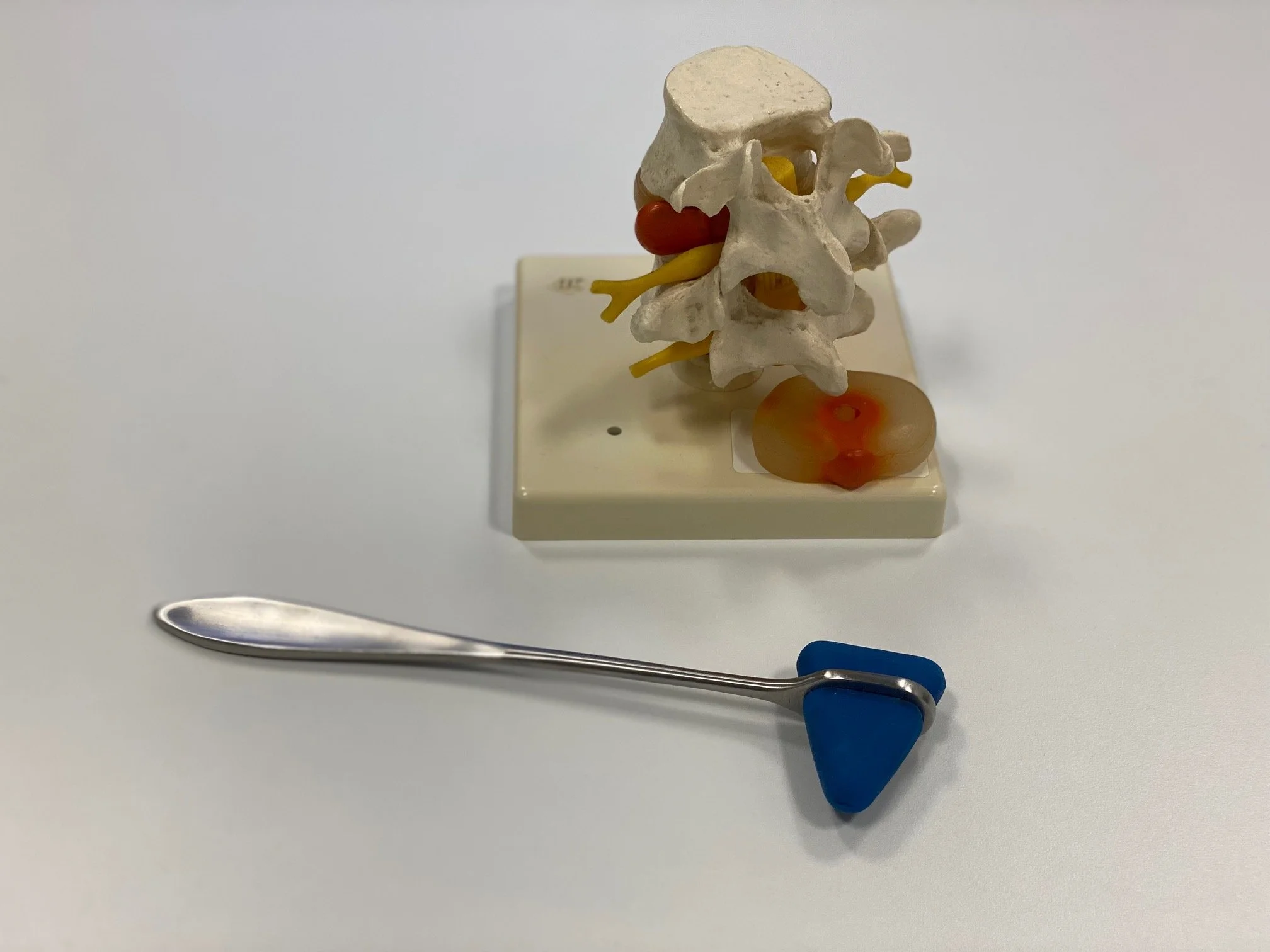 lumbale hernia model en hamer.jpg